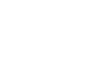 Evolution games at Wild Tornado Casino